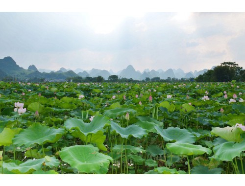 谷歌网SEO的一天：排名和流量的背后