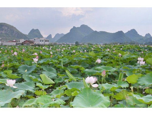 江苏省人民政府 要闻关注 许昆林主持召开省制造强省建设领导小组会议 加快推动制造业高端化智能化绿色化发展 为“走在前、做示范”提供坚实产业与技术基础